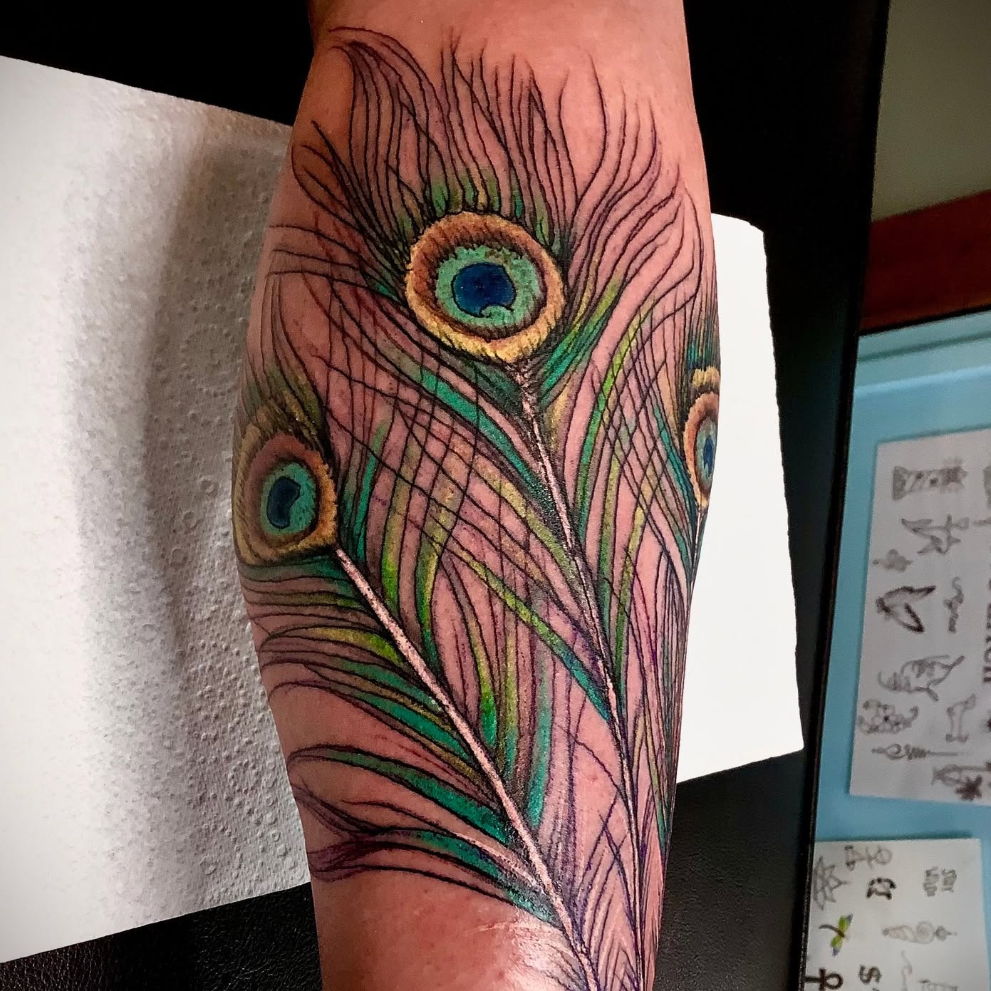 Colour peacock feather tattoo on a forearm