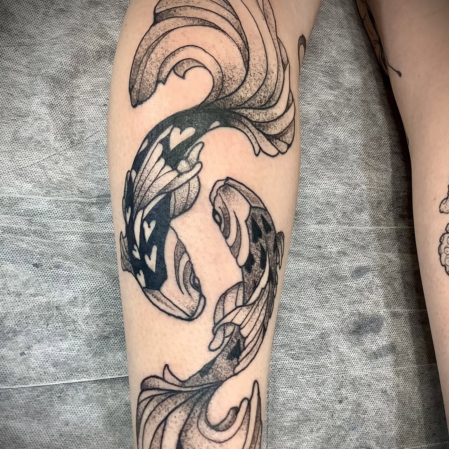Pair of black and grey koi fish tattoo