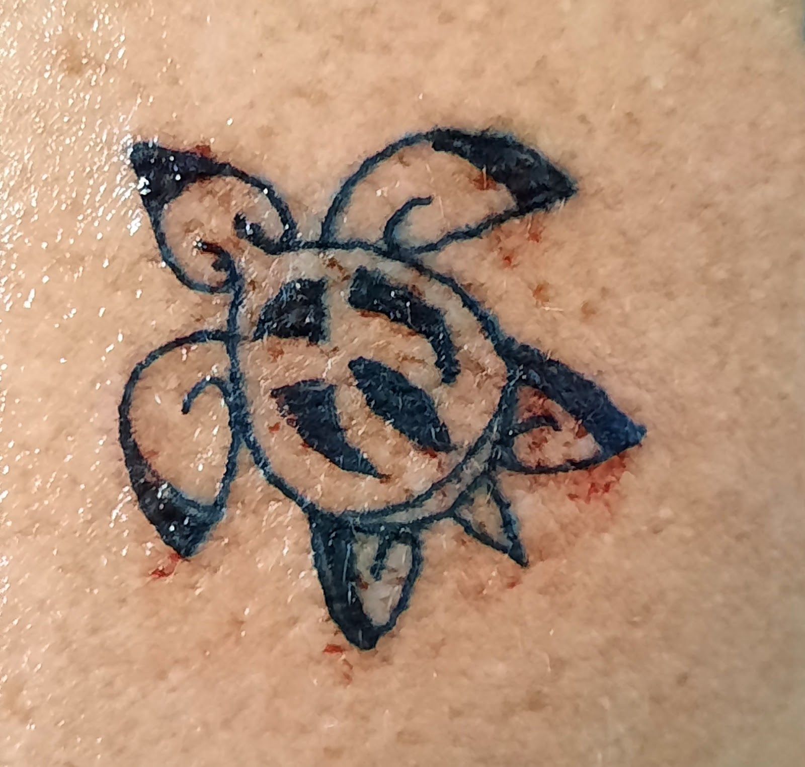 Small fresh turtle tattoo in black ink